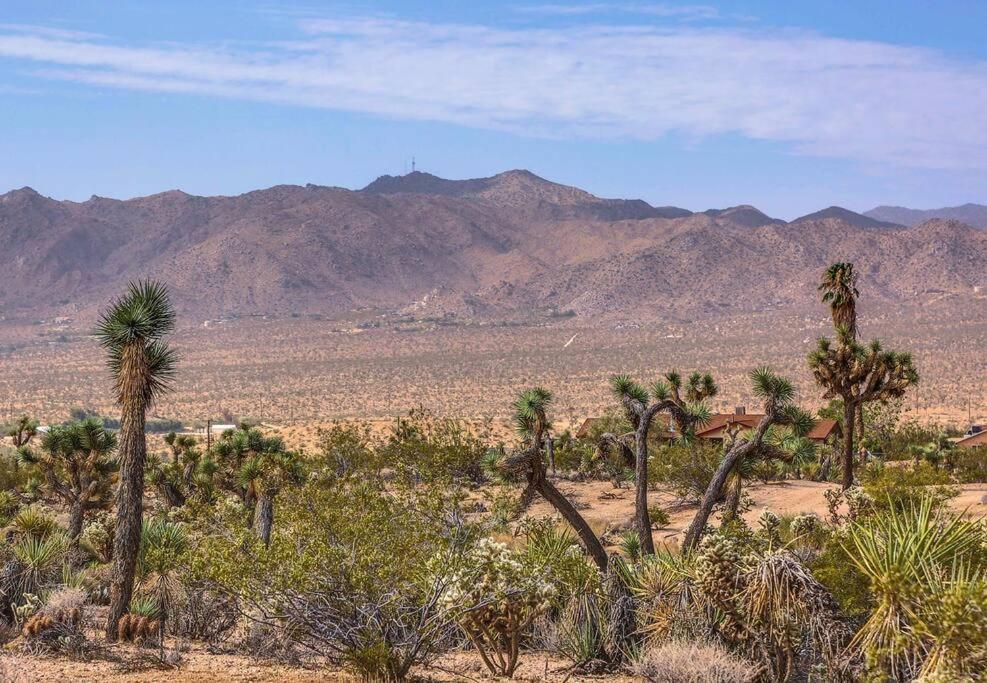 Jt Cottage يوككا فالي المظهر الخارجي الصورة